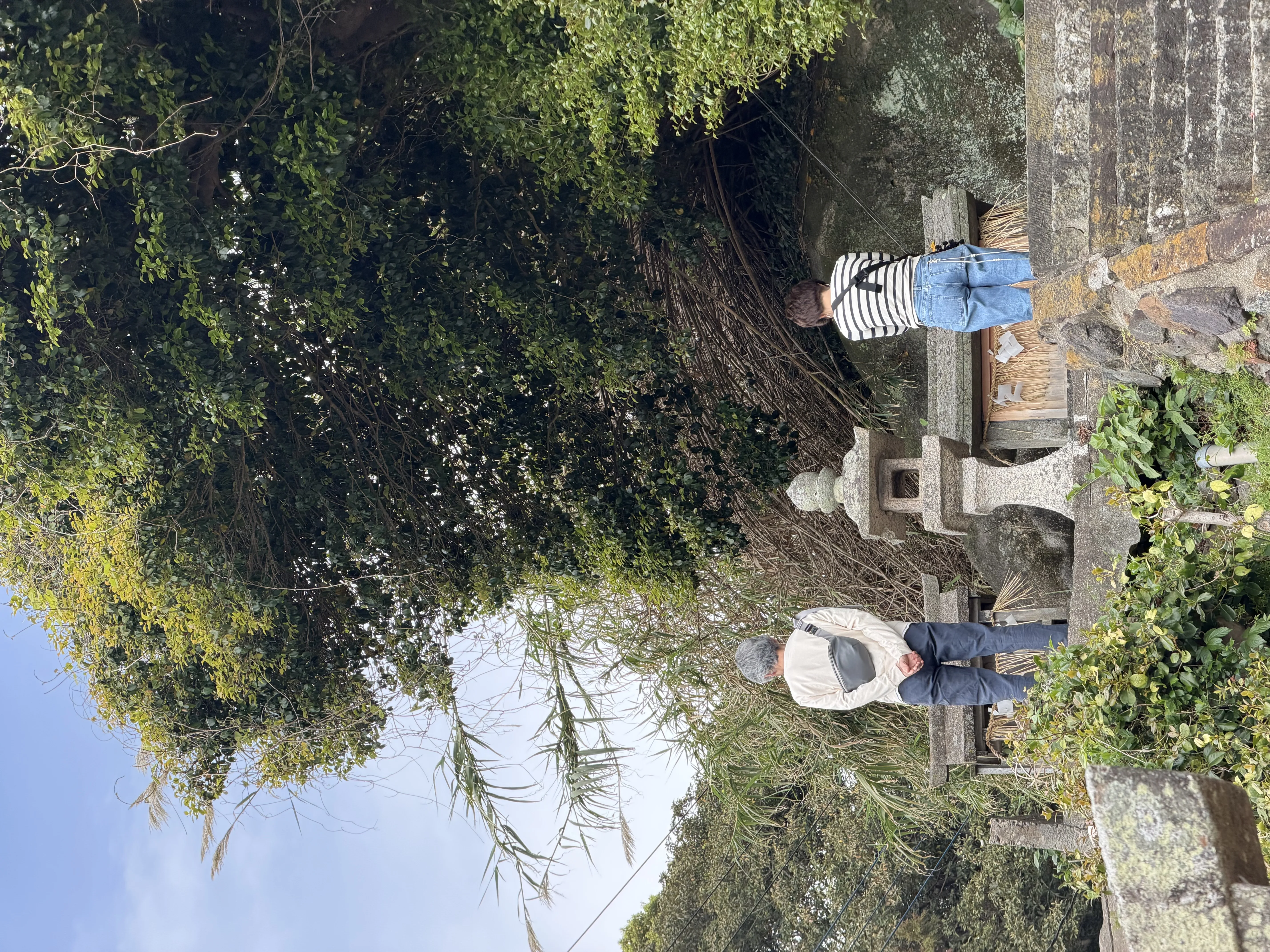 お客様の声4