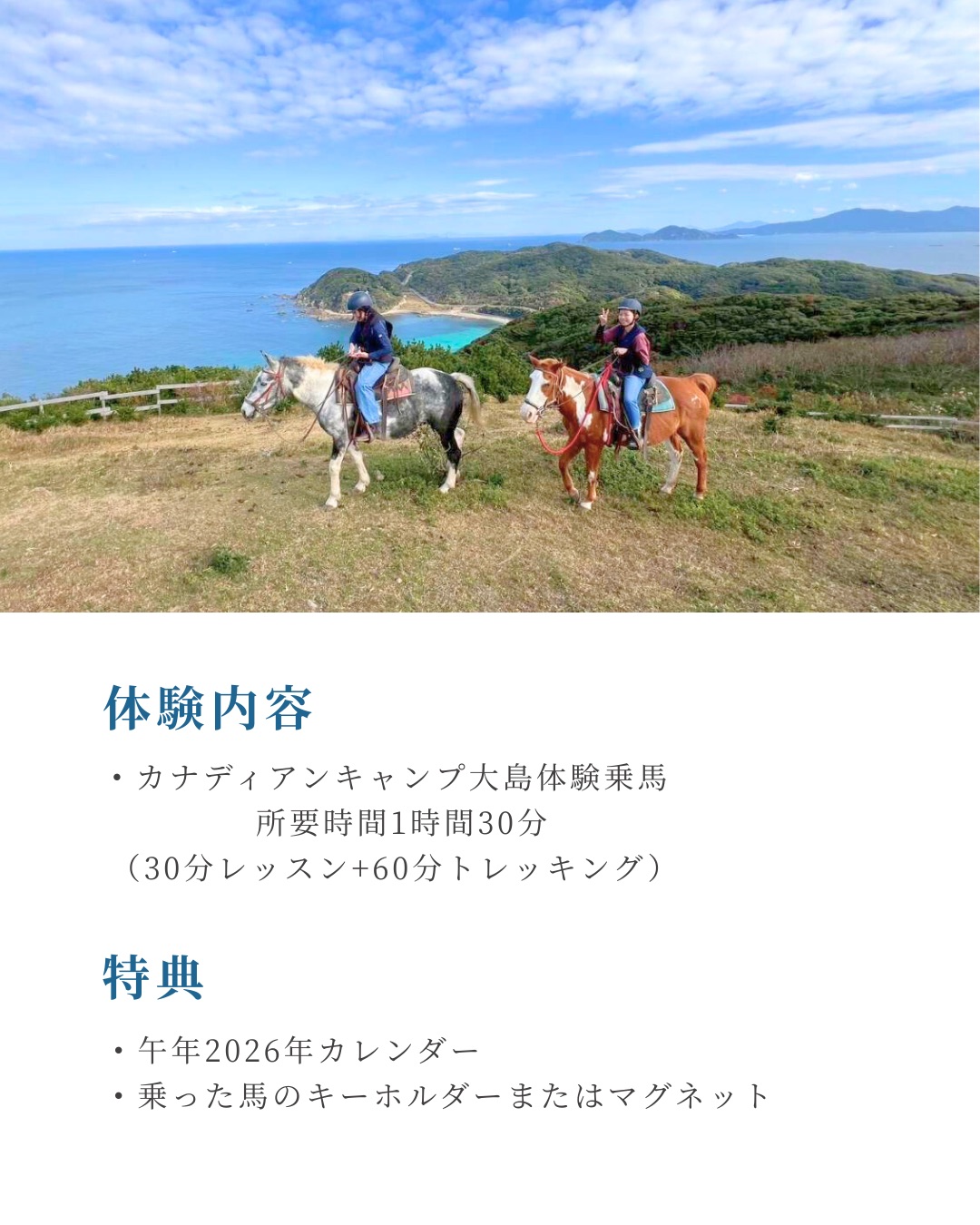 乗馬体験付き宿泊プラン