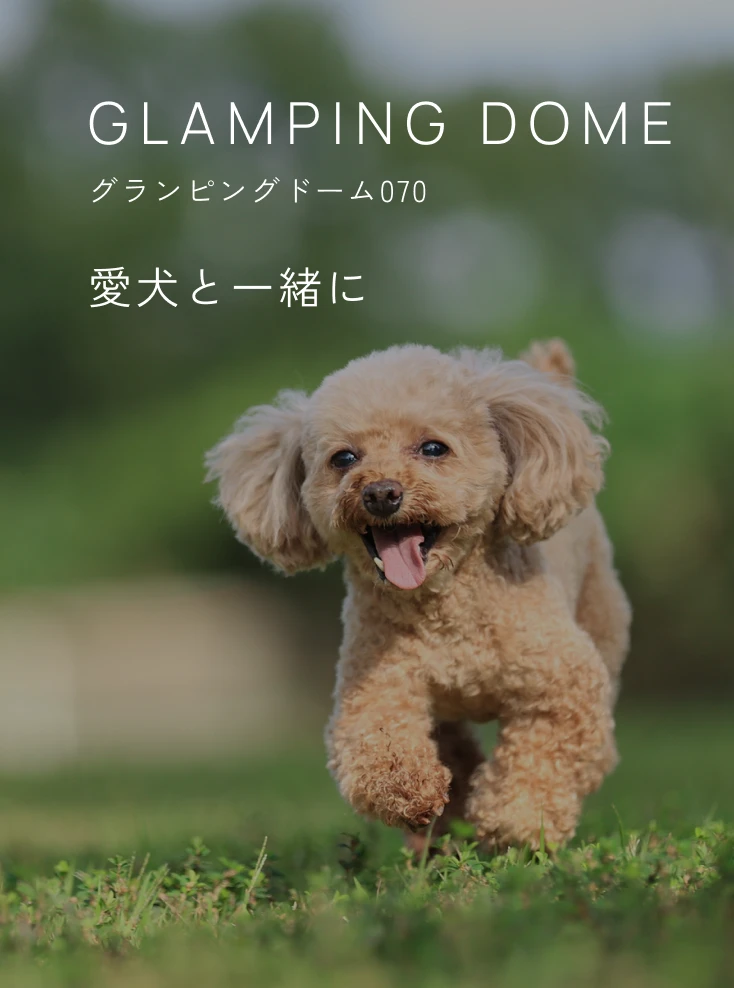 ペットといっしょに